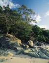 Similana Resort 